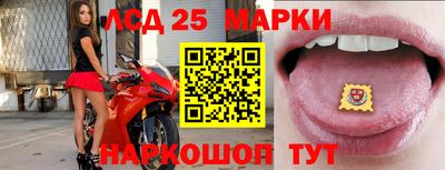 винт Гай