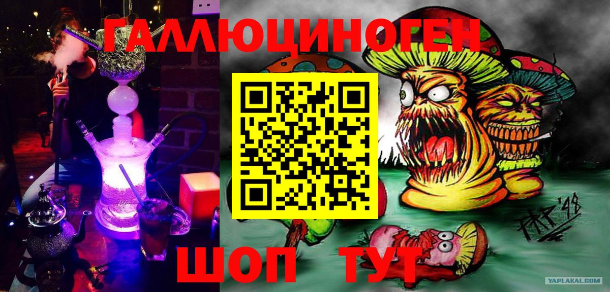 Галлюциногенные грибы Psilocybe Москва
